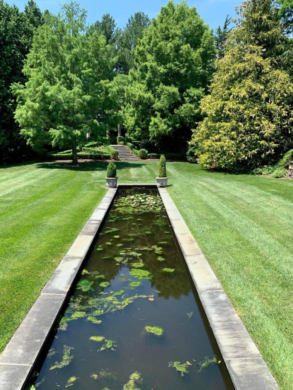 rreflecting pond