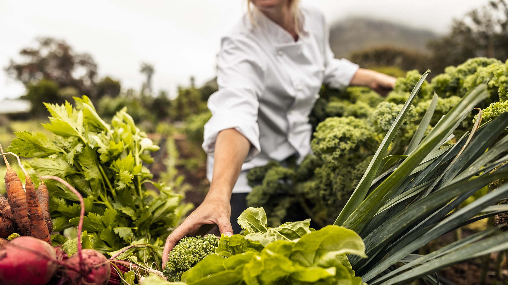 Farm-to-Table Concepts in Private Party Catering
